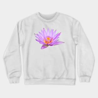 Beautiful Purple Pink Water Lily Nymphaeaceae Flower Plant Nature Photography Crewneck Sweatshirt